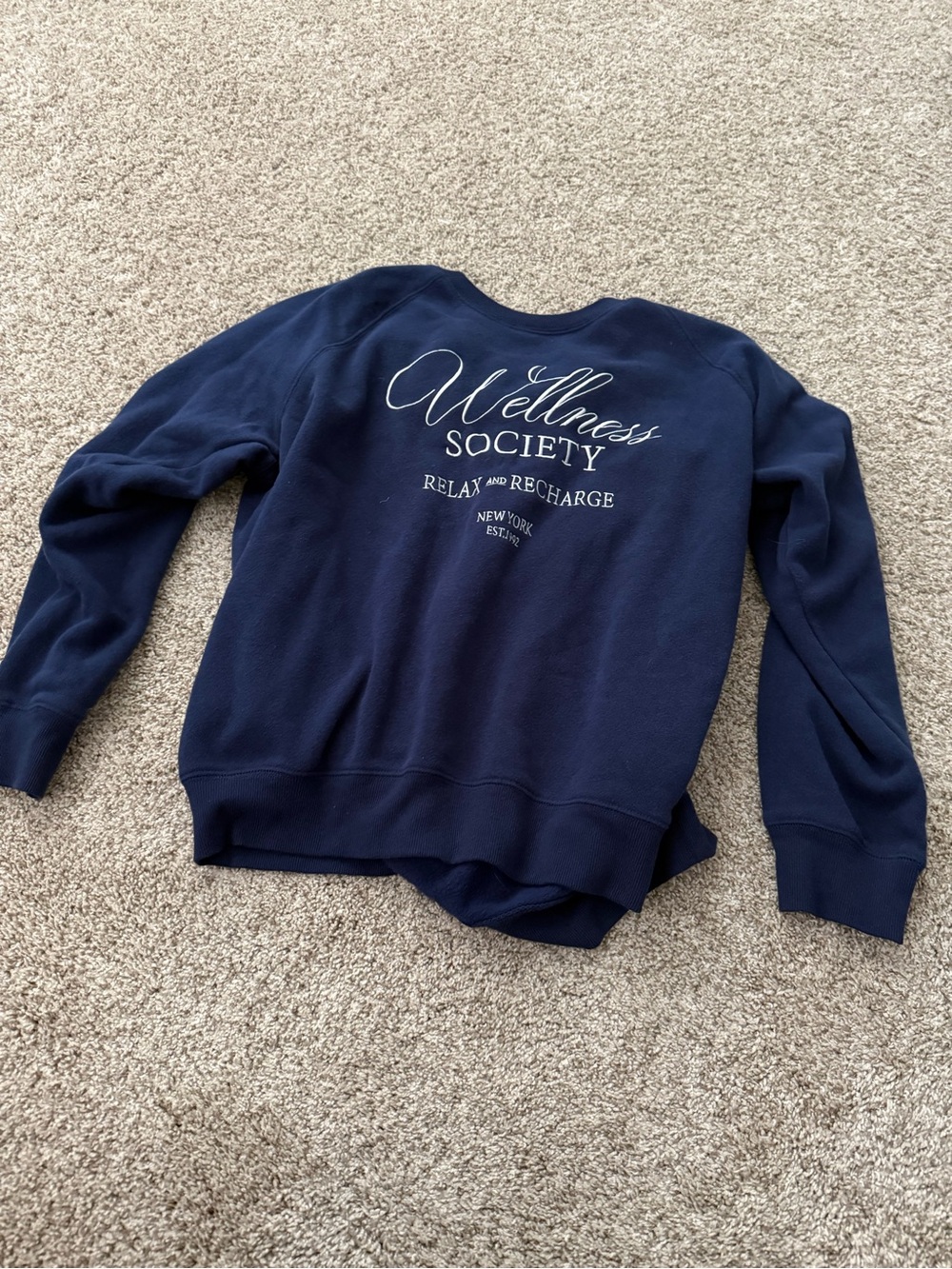 Wildfox Wellness Society Navy Crewneck Sweatshirt